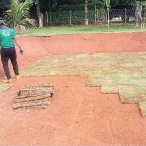 Plantiu de grama por Excellent Work Limpeza E Conservacao- Ltda