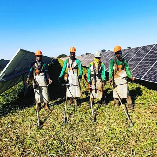 Roçagem em Usina Fotovoltaicas