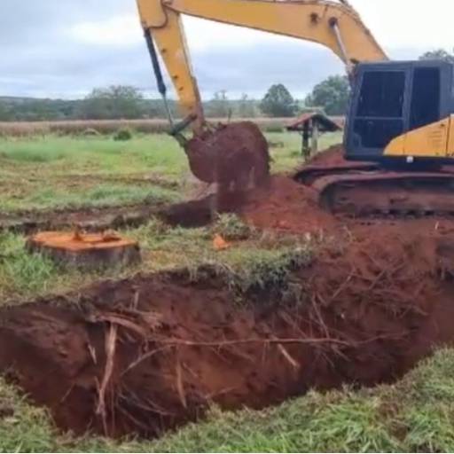 Destoca de Eucalipto (Pequeno e Grande Porte)