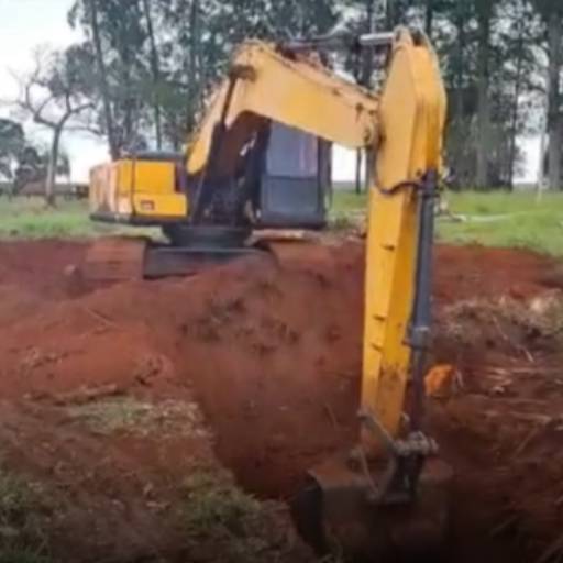 Destoca de Eucalipto (Pequeno e Grande Porte) por CJC Terraplenagem e Construção Civil