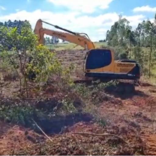 Destoca de Eucalipto (Pequeno e Grande Porte) por CJC Terraplenagem e Construção Civil