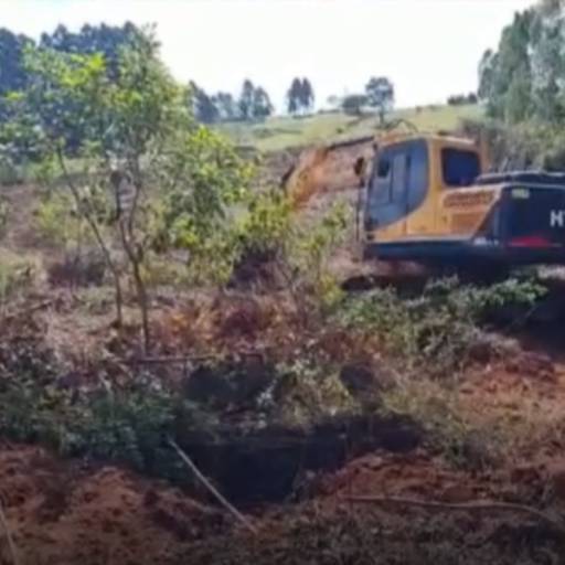Destoca de Eucalipto (Pequeno e Grande Porte) por CJC Terraplenagem e Construção Civil