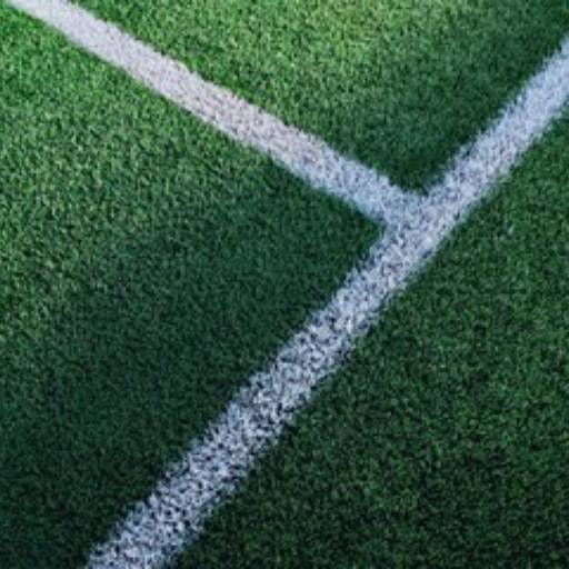 Comprar o produto de Grama para Campo de Futebol - Qualidade e Durabilidade em Senhor do Bonfim/BA em Jardinagem pela empresa Flora Bonfim em Senhor do Bonfim, BA por Solutudo