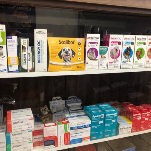 Remédios e Anti Pulgas