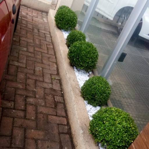 Formação de Jardins por Excellent Work Limpeza E Conservacao