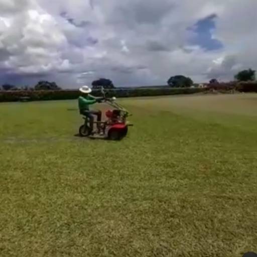 Roçagem de Industrias por Excellent Work Limpeza E Conservacao