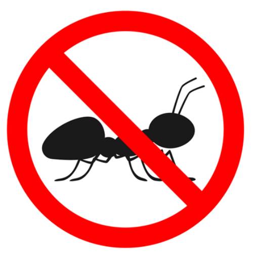 Comprar o produto de Dedetização de formigas em Dedetização pela empresa DEDETIZADORA DESENTUPIDORA E AR CONDICIONADO HIDRO QUALITY em Indaiatuba, SP por Solutudo