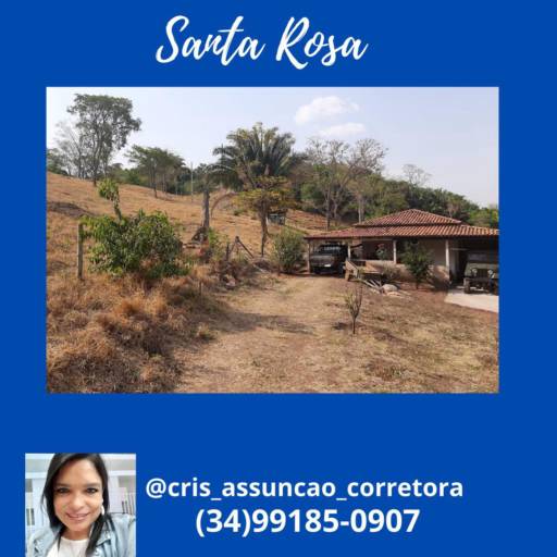 Venda de imóveis- Santa Rosa