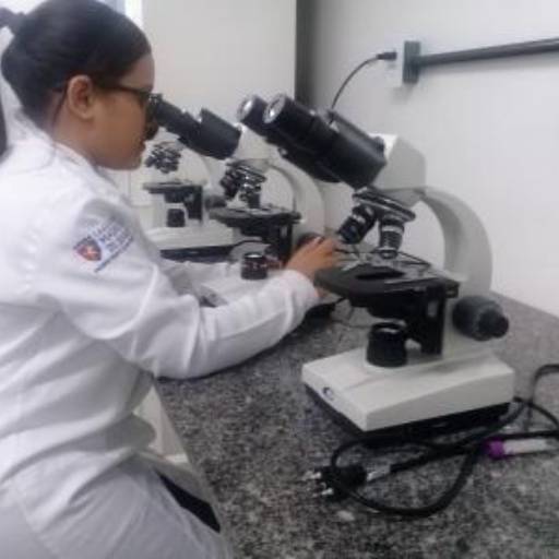 Biomedicina por Faculdade Uninassau