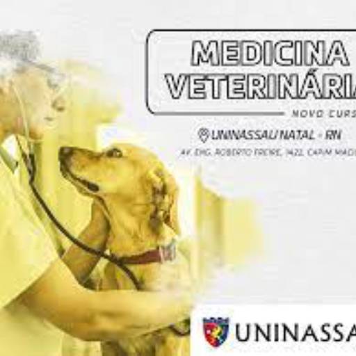 Medicina Veterinária por Faculdade Uninassau