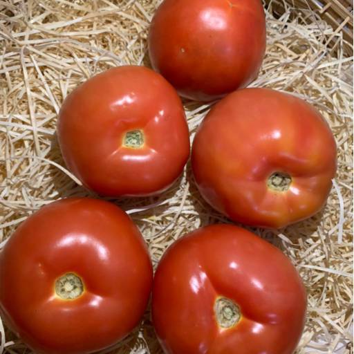 Tomate em Bauru por Quitanda Tomatão