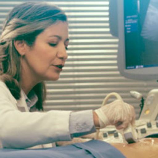 Ginecologia - Cuidados Especializados para a Saúde Feminina - Itanhaém em São Paulo