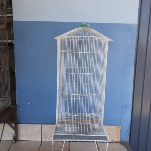Comprar o produto de Viveiro de Pássaros  em Gaiolas pela empresa Casa Das Aves JN em Foz do Iguaçu, PR por Solutudo