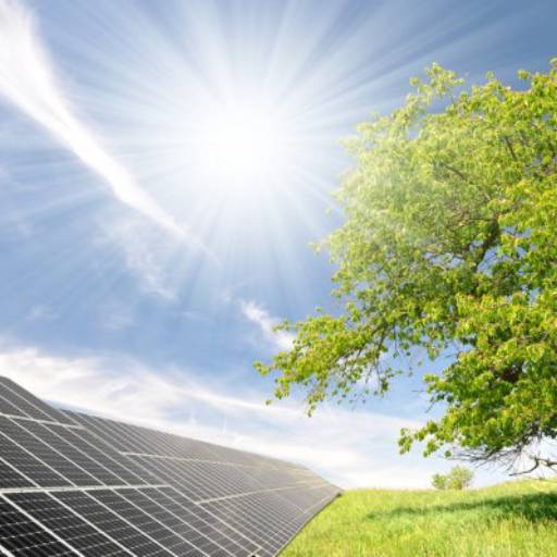 Comprar o produto de Energia Solar para Agronegócio em Energia Solar pela empresa Intellsolar em Presidente Venceslau, SP por Solutudo