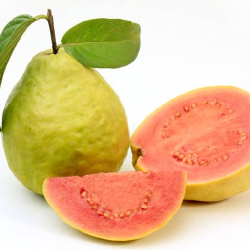 Comprar o produto de Goiaba em Bauru em Frutas pela empresa Quitanda Tomatão em Bauru, SP por Solutudo
