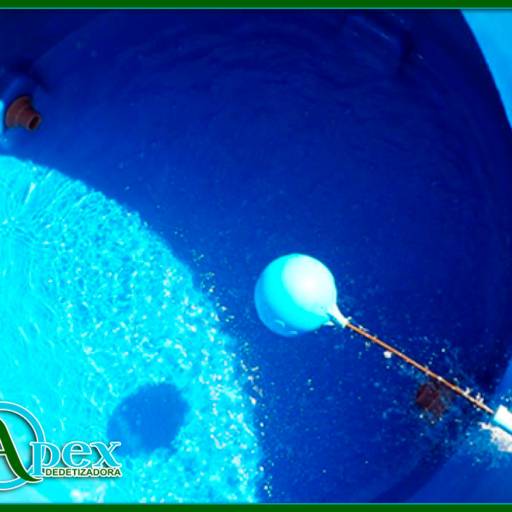 Apex Dedetizadora em Avaré por APEX DEDETIZADORA