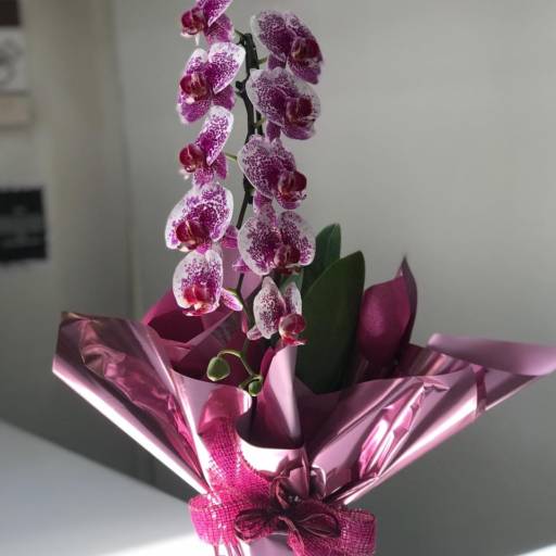 Flores e Cestas por Adriana Flores Loja 2