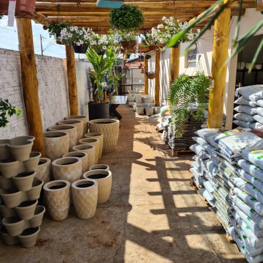 Plantas por Adriana Flores Loja 2