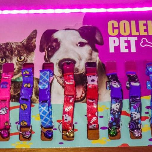 Cartela coleira para gato com guizos