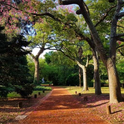 Paisagismo por Imperial Paisagismo Projetos e Serviços Técnicos