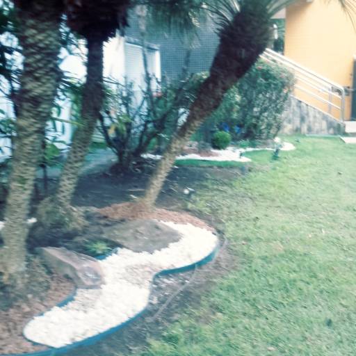 Manutenção de jardins em Salvador, BA por Imperial Paisagismo Projetos E Servicos Tecnicos