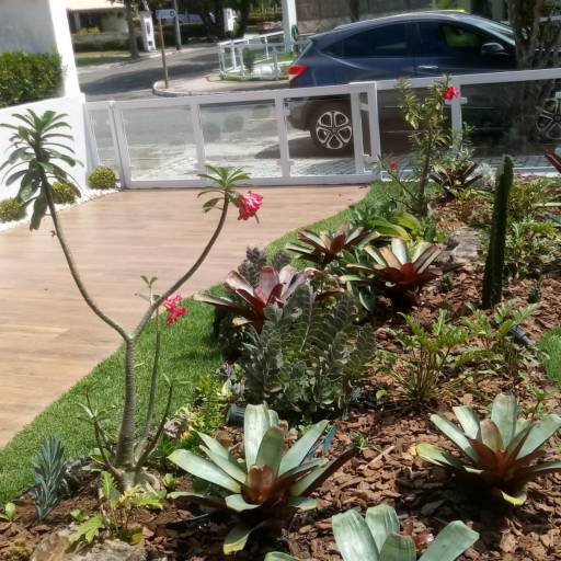 Manutenção de jardins em Salvador, BA por Imperial Paisagismo Projetos E Servicos Tecnicos