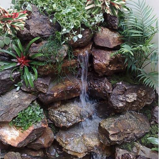Manutenção de jardins em Salvador, BA por Imperial Paisagismo Projetos E Servicos Tecnicos