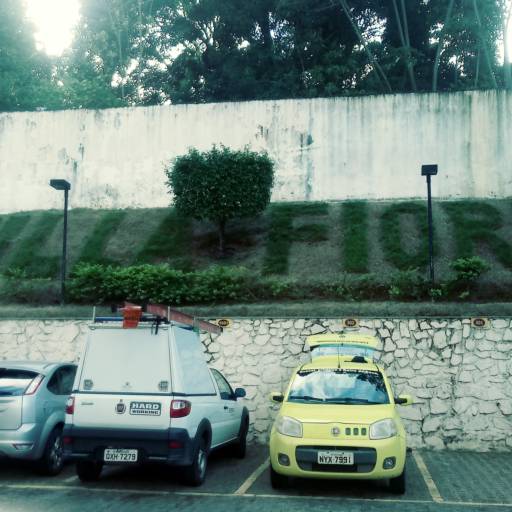 Manutenção de jardins em Salvador, BA por Imperial Paisagismo Projetos E Servicos Tecnicos