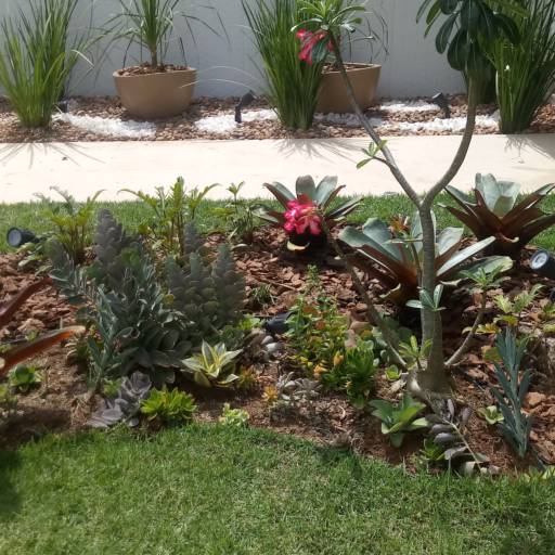 Manutenção de jardins em Salvador, BA por Imperial Paisagismo Projetos E Servicos Tecnicos