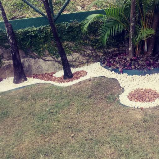 Criação de jardim em Salvador, BA por Imperial Paisagismo Projetos E Servicos Tecnicos