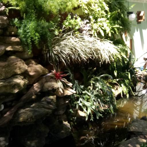 Criação de jardim em Salvador, BA por Imperial Paisagismo Projetos E Servicos Tecnicos