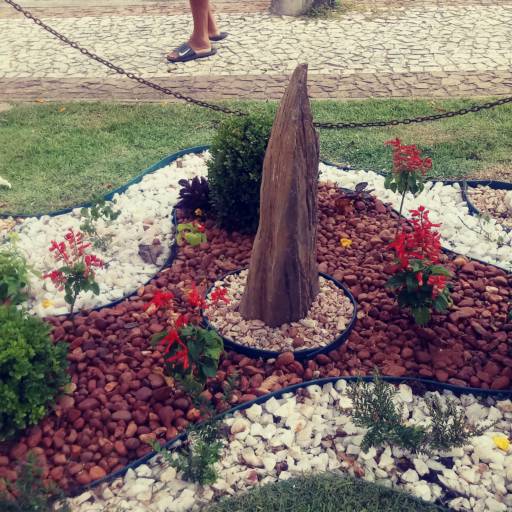 Criação de jardim em Salvador, BA por Imperial Paisagismo Projetos E Servicos Tecnicos