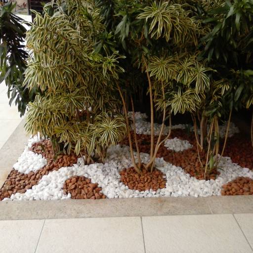 Criação de jardim em Salvador, BA por Imperial Paisagismo Projetos E Servicos Tecnicos