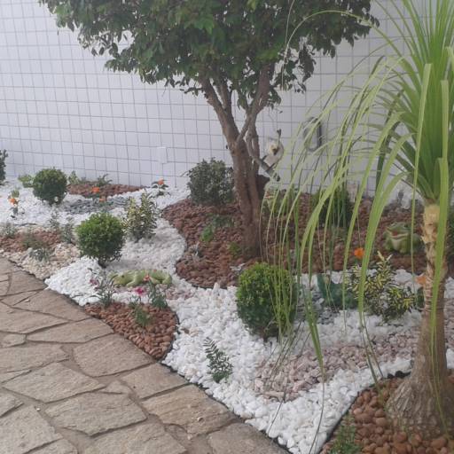 Criação de jardim em Salvador, BA por Imperial Paisagismo Projetos E Servicos Tecnicos