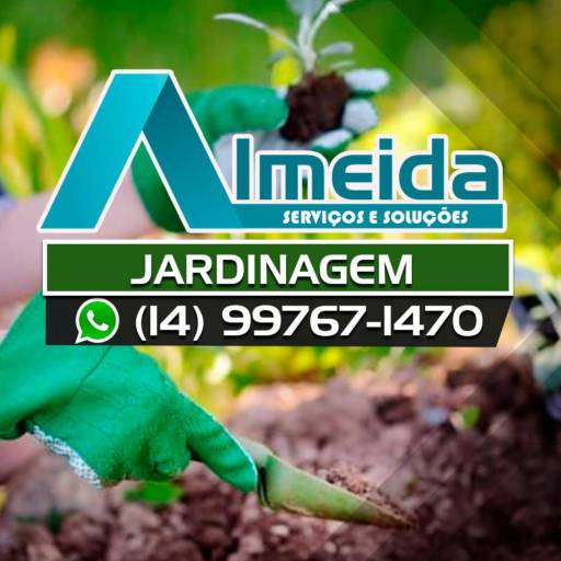 Fertilidade do solo e manejo de nutrientes