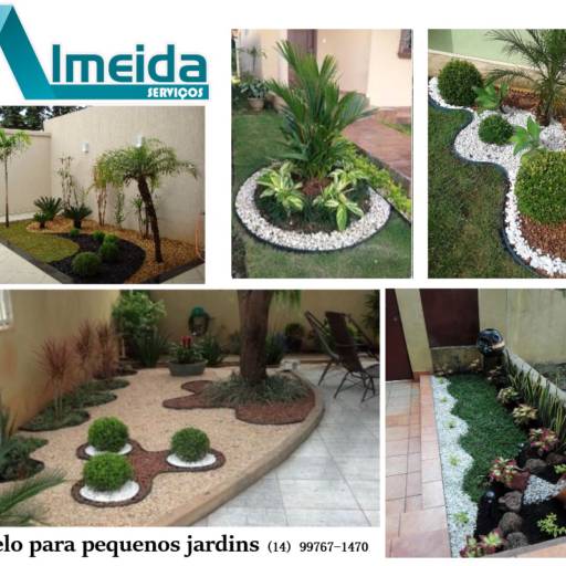 Fertilidade do solo e manejo de nutrientes por Almeida Serviços