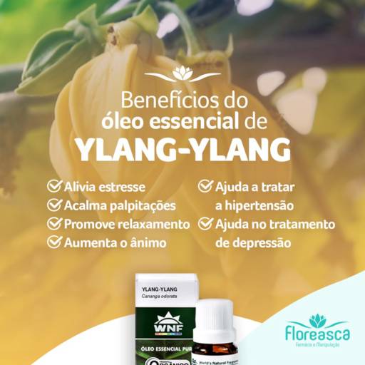 Óleo Essencial Ylang-Ylang por Farmácia e Manipulação Floreasca