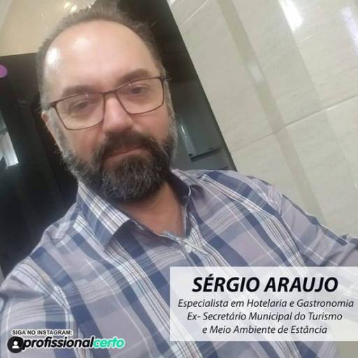 Comprar o produto de Sérgio Araújo em Consultoria pela empresa Profissional Certo em Aracaju, SE por Solutudo