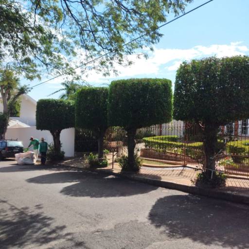 Corte e Poda de Árvores! Venha nos conhecer. por Pedro Quinteiro - Jardinagem Geral