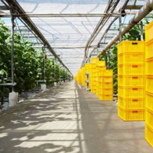 Consórcio para o agronegócio