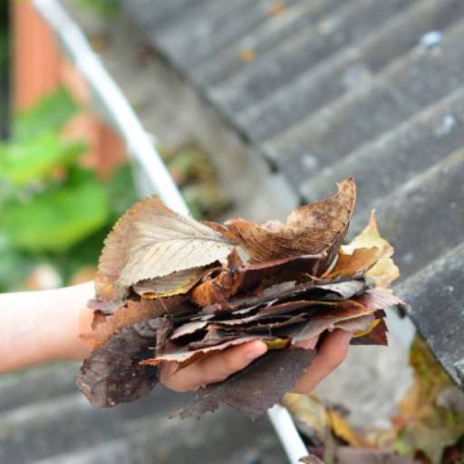 Desentupimento de Calhas