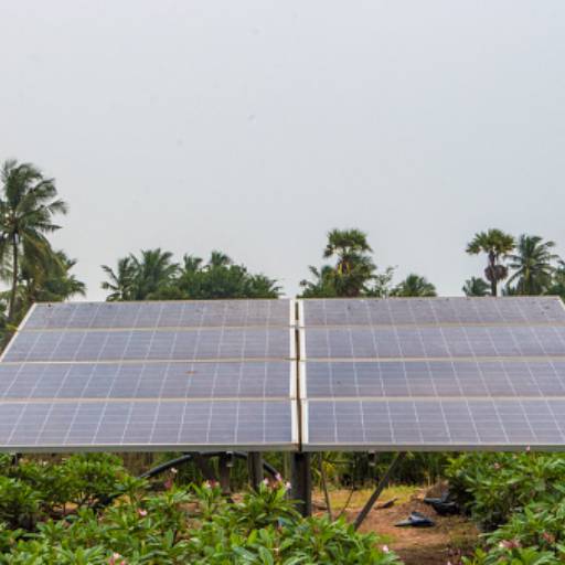 Energia Solar para Agronegócio por Elétric Solar