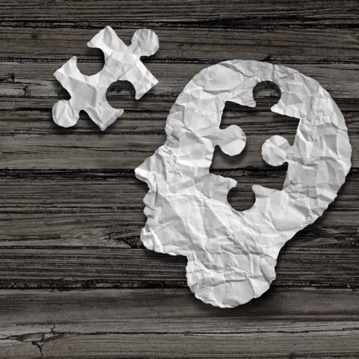 Inteligência Emocional em Bauru por Marcia Cavallaro Psicanalista 