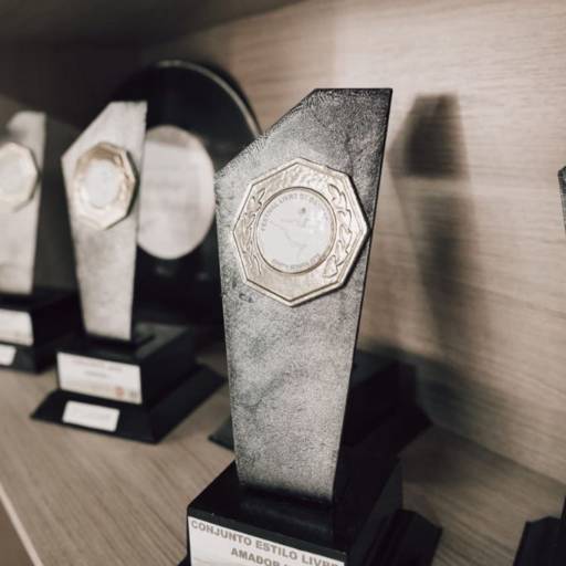 Premiações  por Studio de Dança Cynthia Denadai