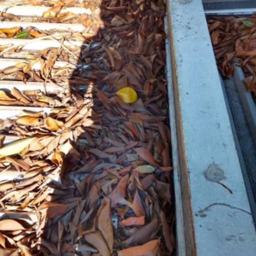 Limpeza de Calhas e telhado