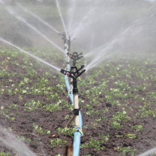 Comprar o produto de Irrigação por aspersão em Bauru em Mangueiras e Irrigadores pela empresa Irrigbem - Sistemas de Irrigação em Bauru em Bauru, SP por Solutudo