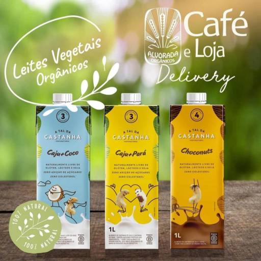 Comprar o produto de Leites vegetais orgânicos  em Café Gourmet Orgânico pela empresa Café e Loja Alvorada em Botucatu, SP por Solutudo
