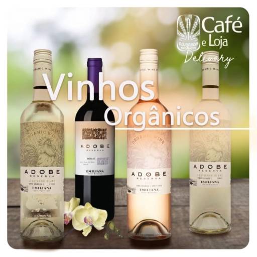 Comprar o produto de Vinhos orgânicos em Café Gourmet Orgânico pela empresa Café e Loja Alvorada em Botucatu, SP por Solutudo