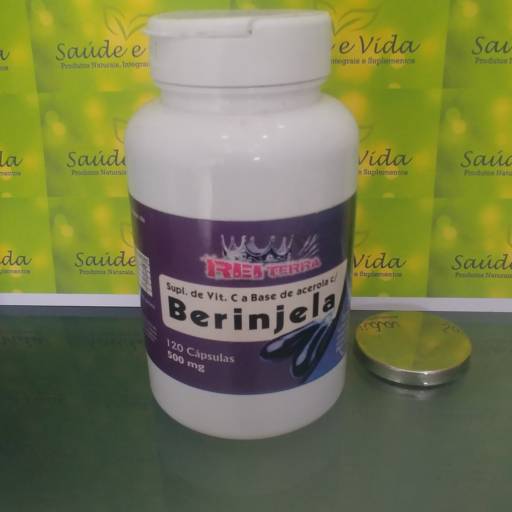 Berinjela- Rei Terra por Saúde e Vida