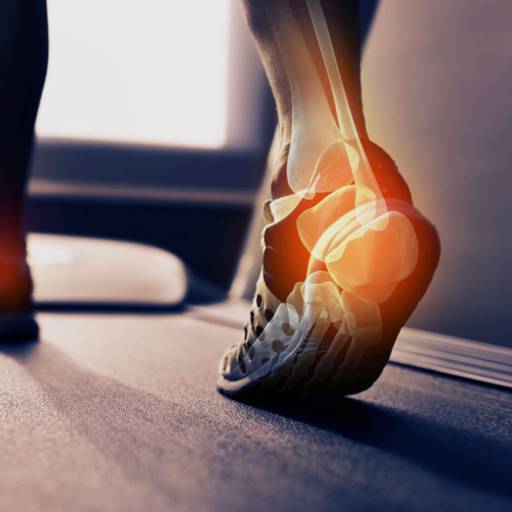 Fisioterapia em São Paulo: Reabilite e Fortaleça Seu Corpo no Ipiranga por Pilates e Saúde Luciana Cavalcante